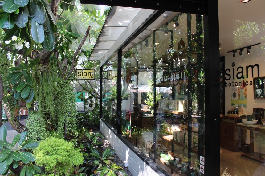 Shop windows with greenery